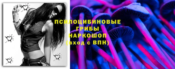 мет Дмитриев