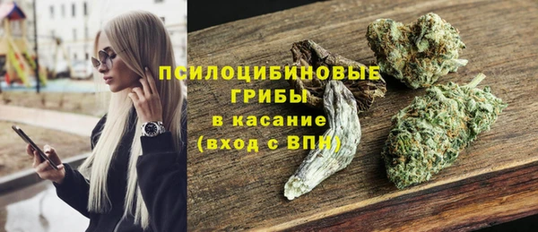 мет Дмитриев