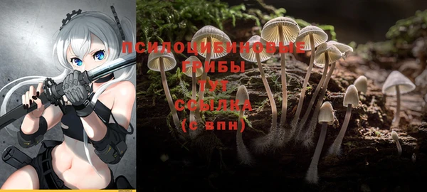 соль курить ск Дмитров