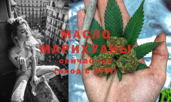 мет Дмитриев