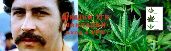 мет Дмитриев