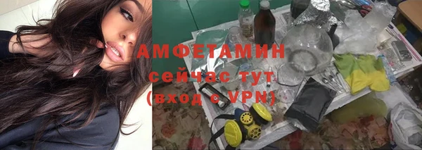мет Дмитриев