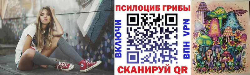 Купить где  Удомля  Галлюциногенные грибы Cubensis 